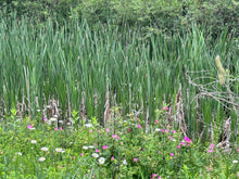Load image into Gallery viewer, Meadow Drop
