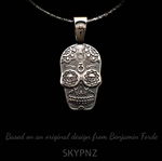 SkypnZ Skydive Mex